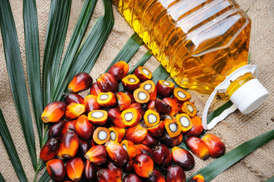 Why To Avoid Palm Oil?