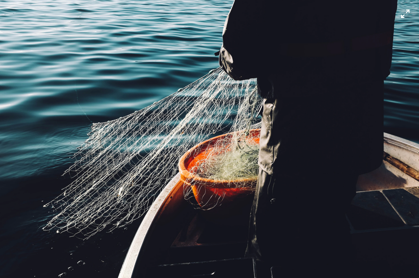Hidden Costs of the Fishing Industry