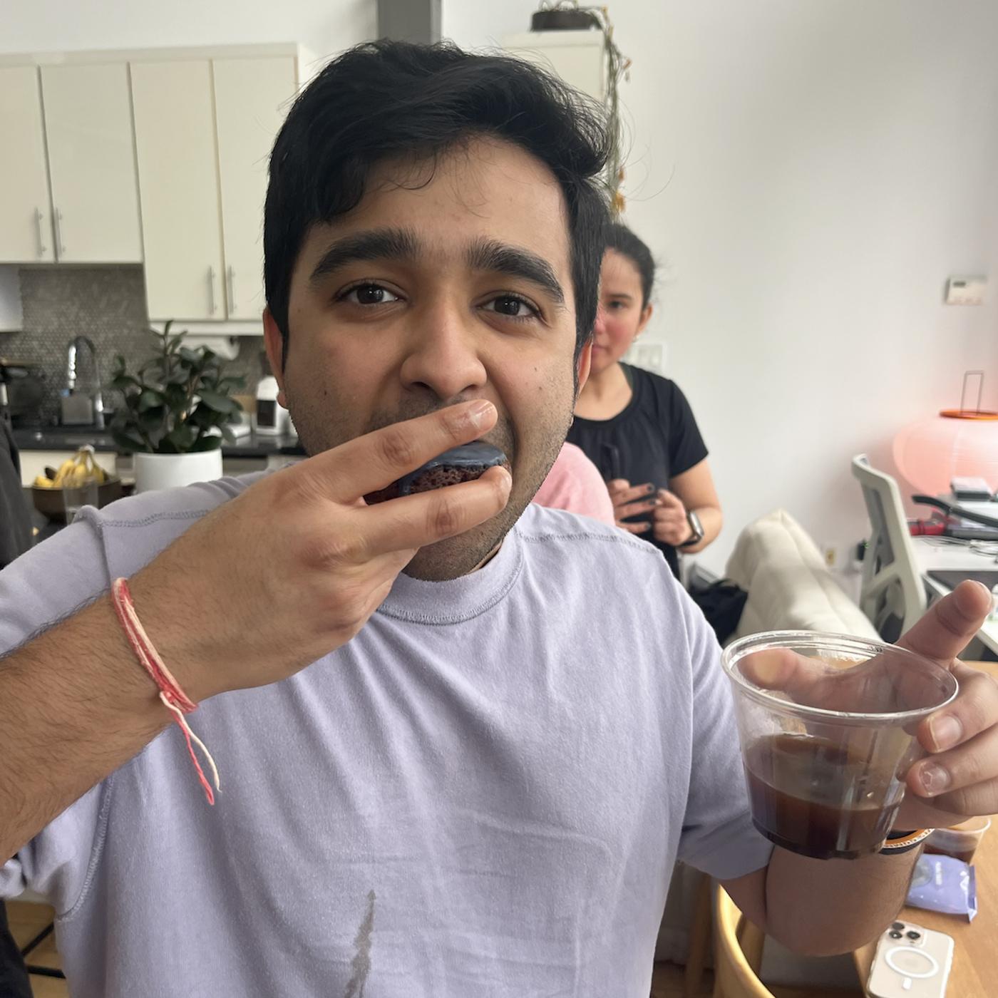 Frosted Blueberry Donuts, 8pack