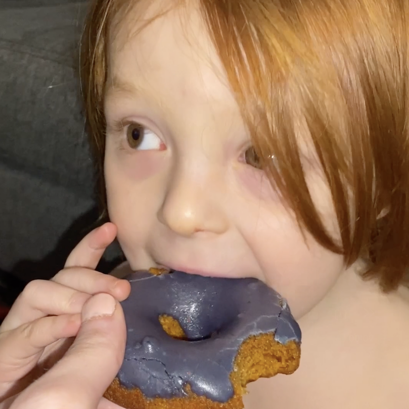 Frosted Blueberry Donuts, 8pack