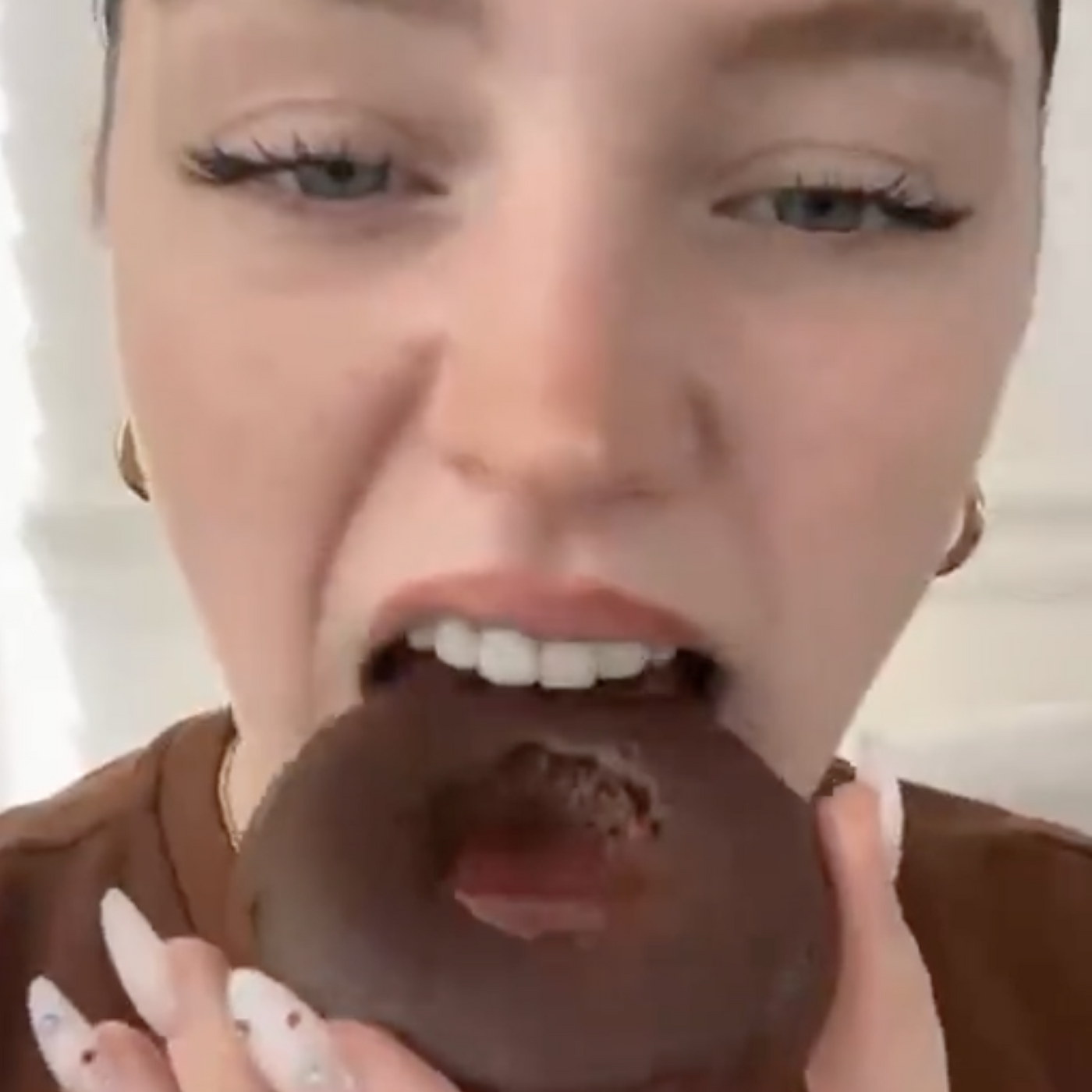Frosted Dark Chocolate Donut, 8pack BACK SOON