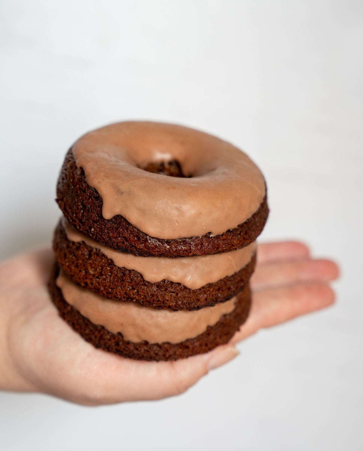 Variety Box Low-Sugar Donuts (8pack)